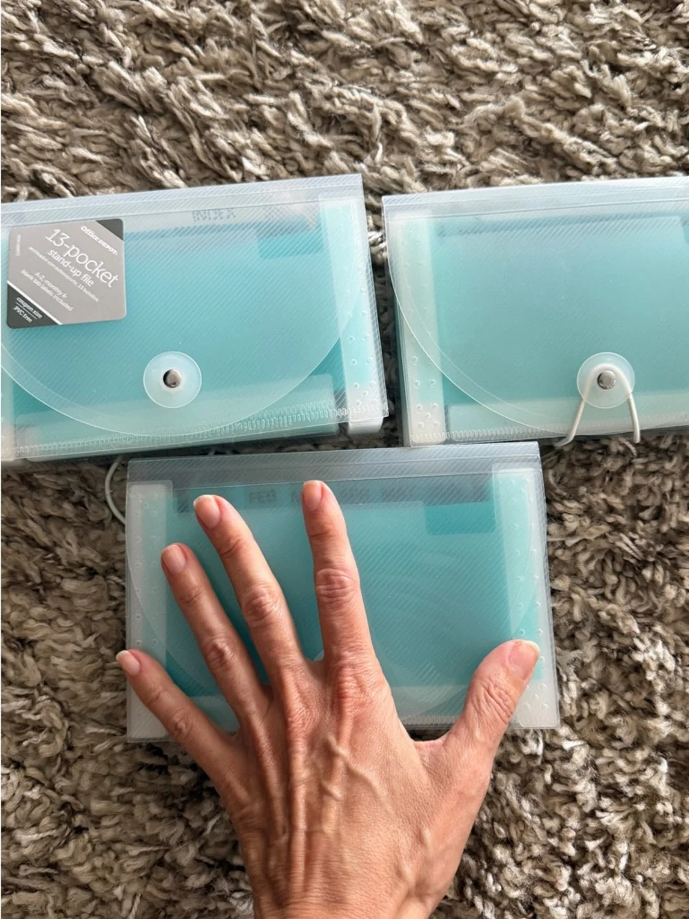 Clear Envelope Accordion File Organizer with Teal Dividers